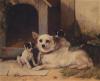 Walter Hunt   Mother and puppies resting 1887