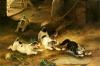 Walter Hunt   Puss at bay 1890