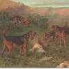 Welsh terriers by Maud Earl