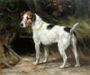 Wright Barker  1864-1941